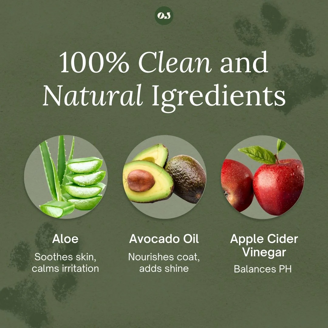 Dog Shampoo - Image 3