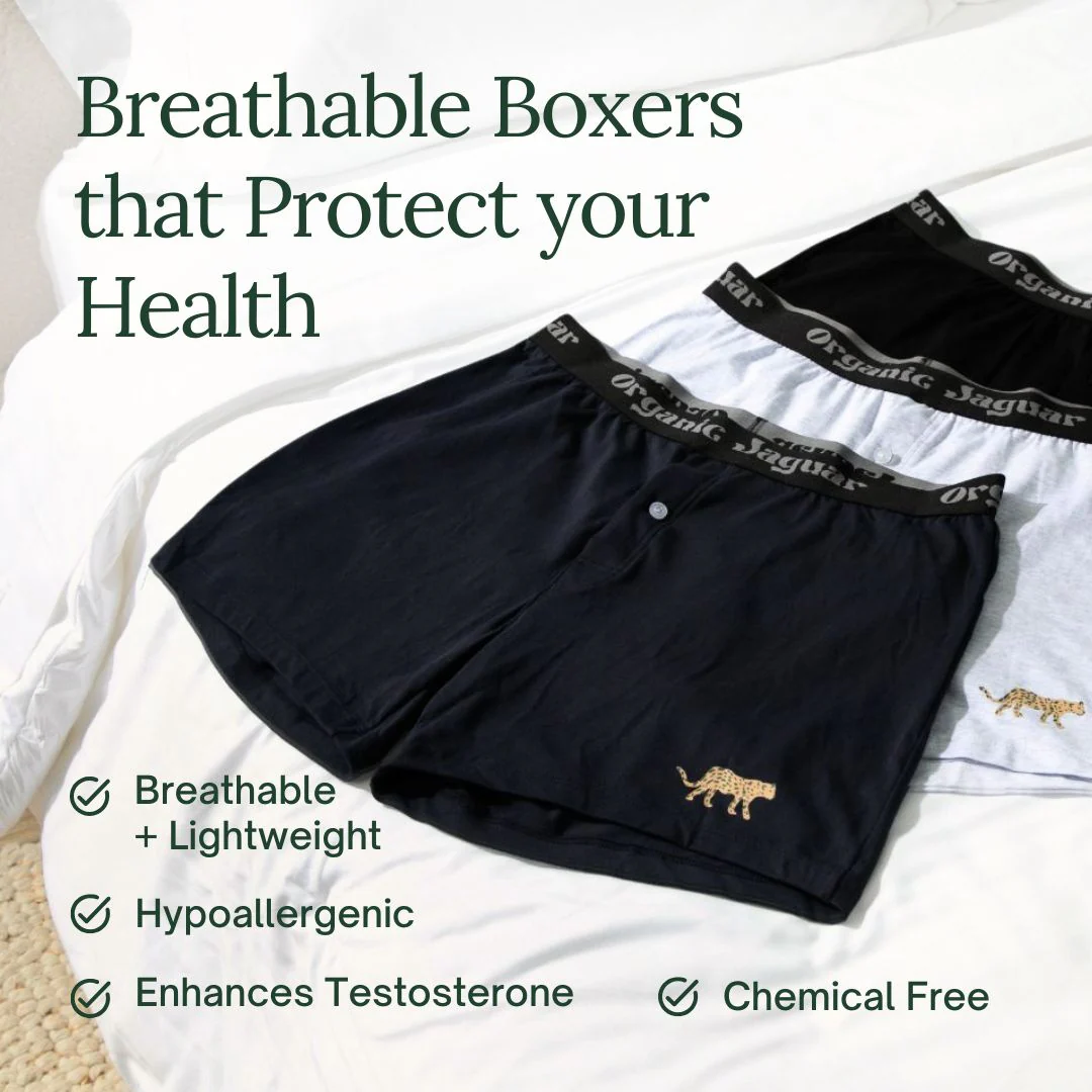 Organic Cotton Boxers (3 pack) - Image 4