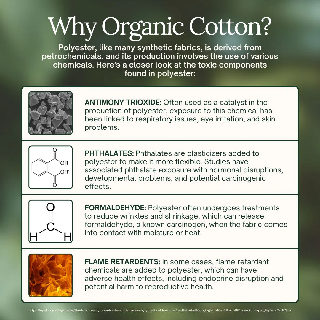 Earth Tones Organic Cotton Boxers (3 pack) - Image 4